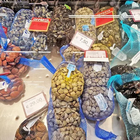 Ca' Nova - بورانو