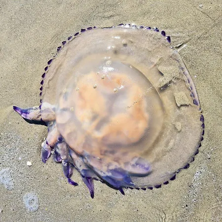 Ca' Nova - Сasa de vacaciones