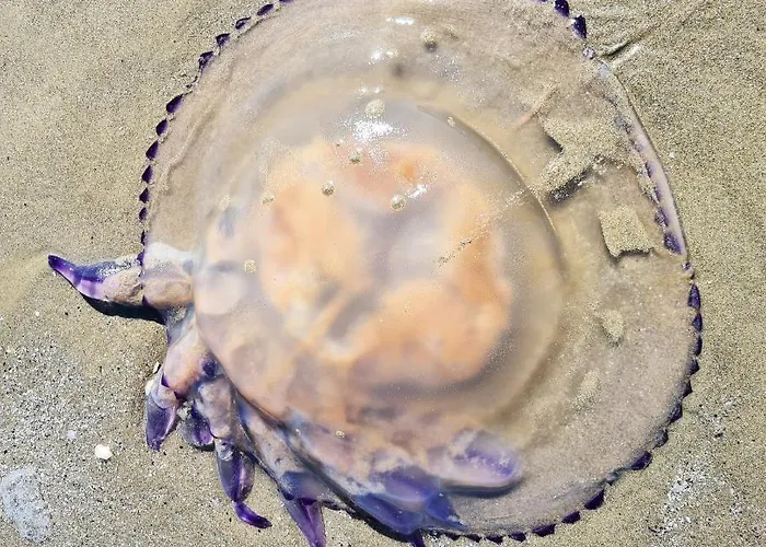 Ca' Nova - Semesterbostad